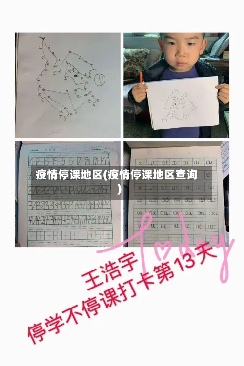 疫情停课地区(疫情停课地区查询)