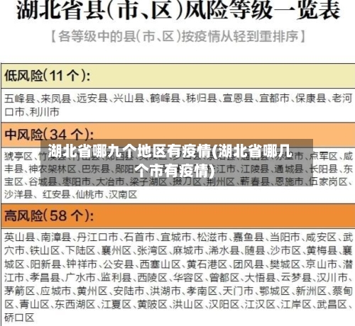 湖北省哪九个地区有疫情(湖北省哪几个市有疫情)